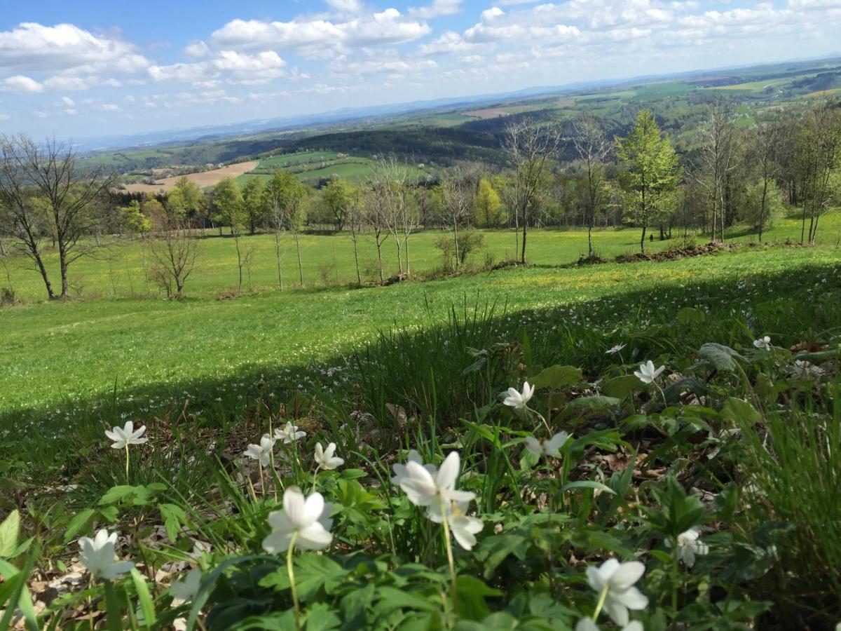 Talblick Holzhau