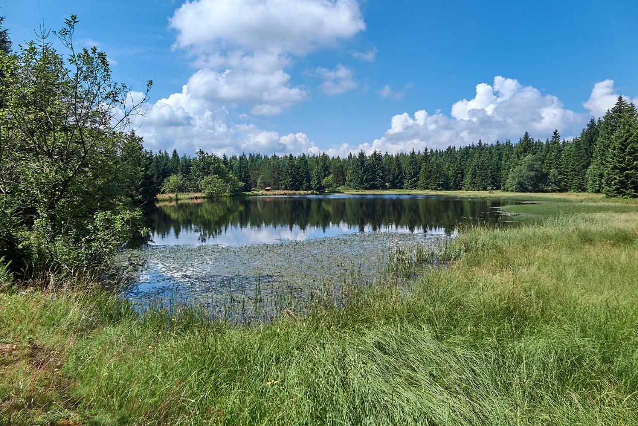 Talblick