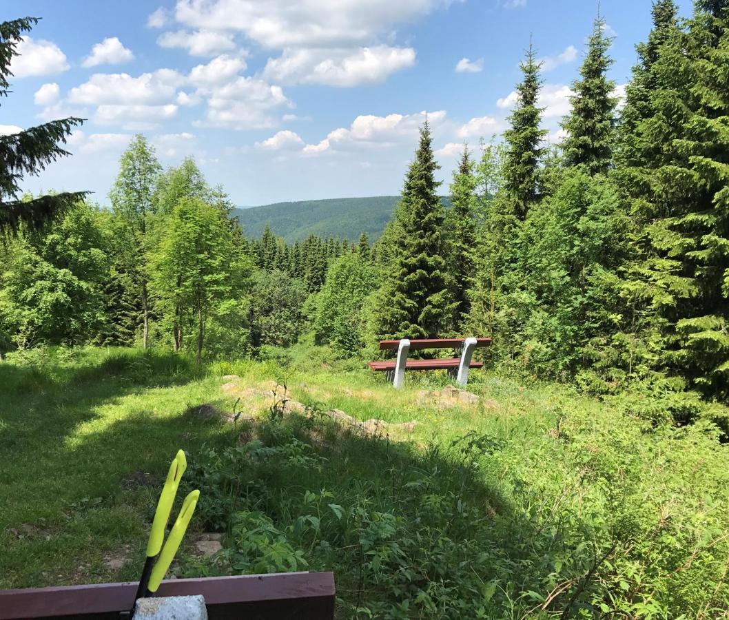 Talblick 4* Holzhau