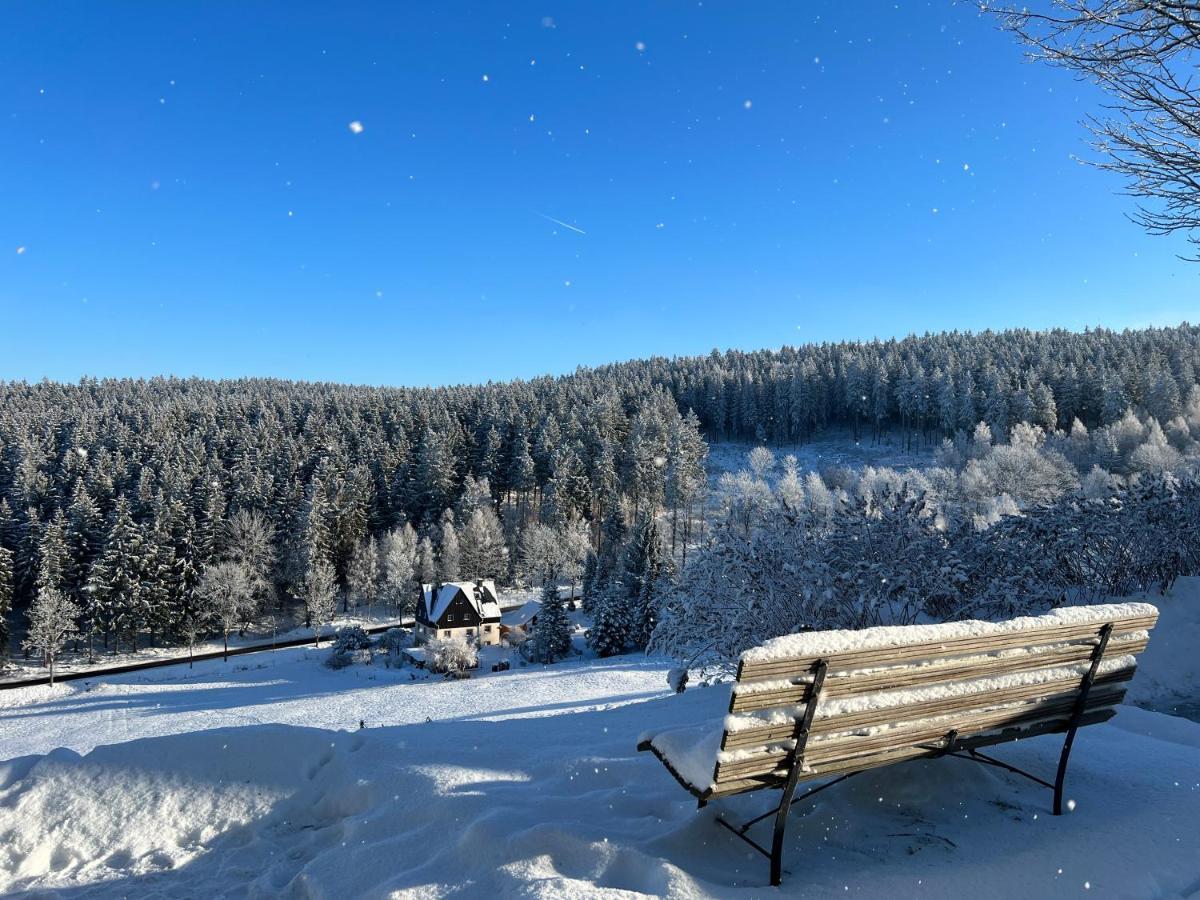 Talblick Hotel Holzhau