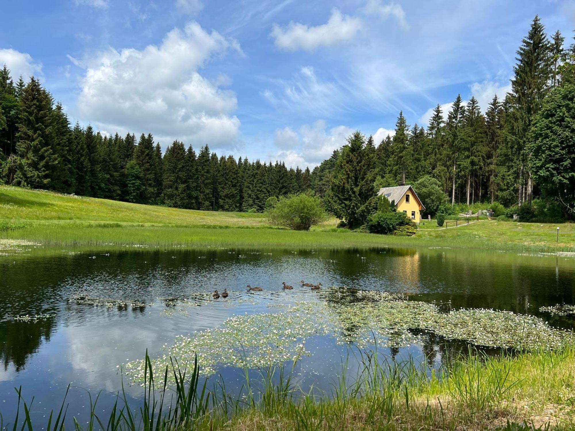 Talblick Hotel