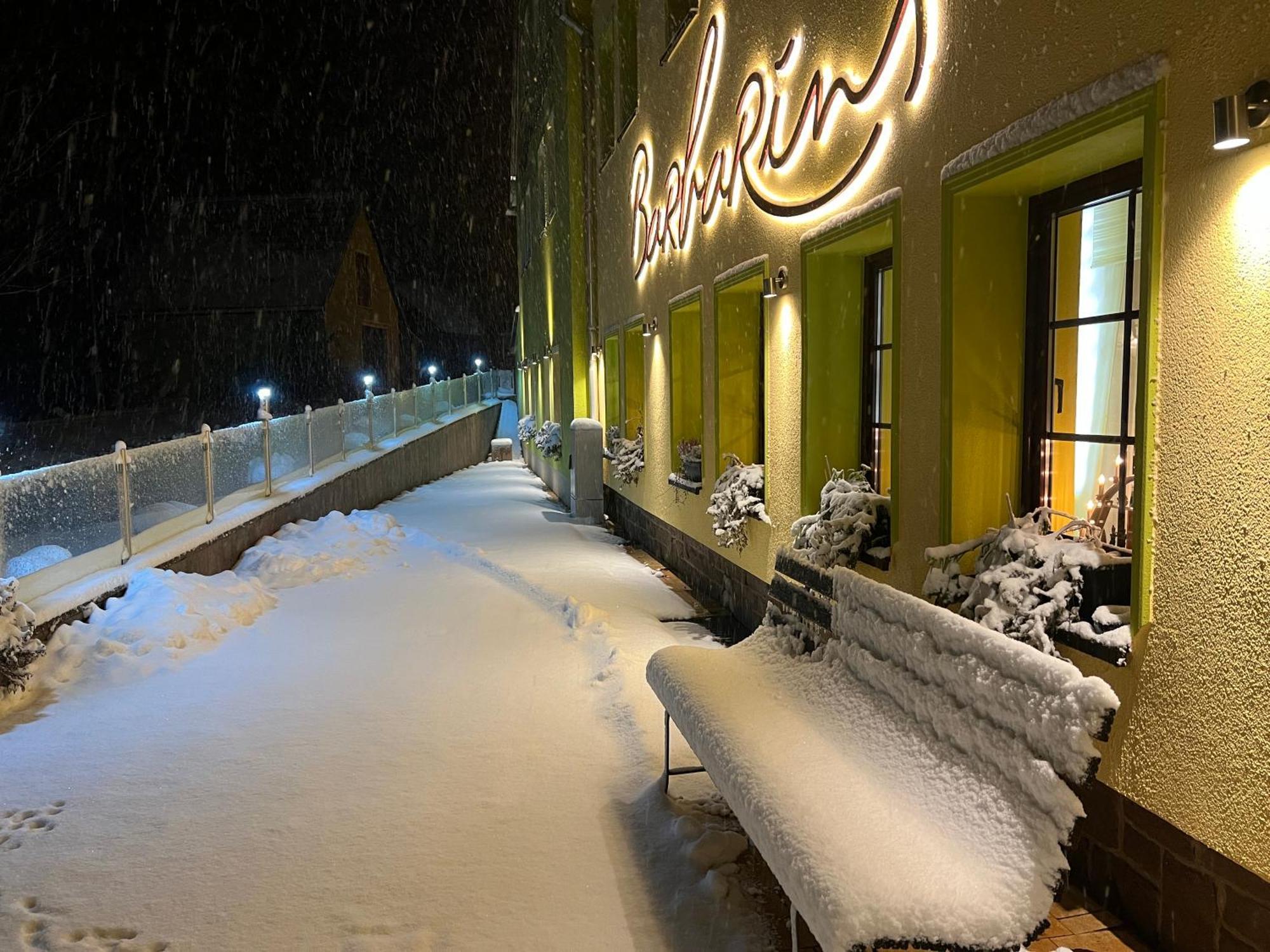 Talblick Hotel Holzhau