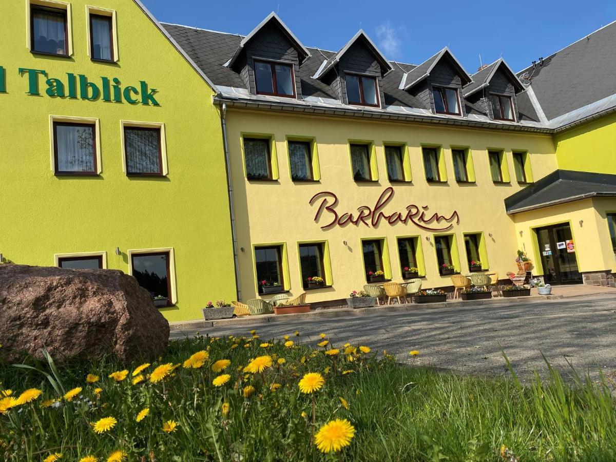 Talblick Hotel Holzhau